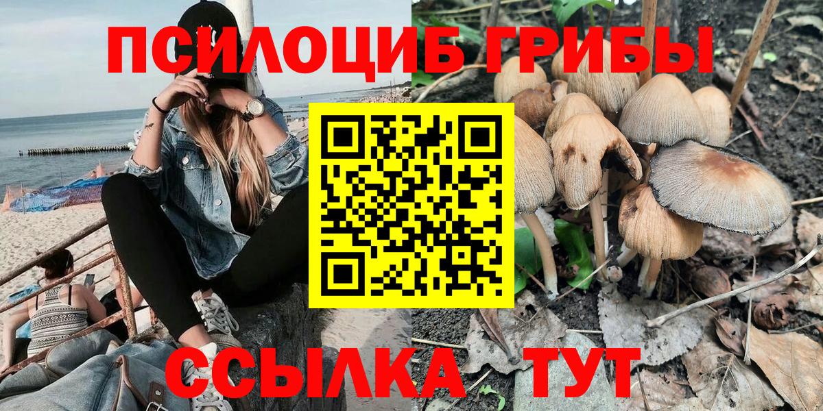 Галлюциногенные грибы GOLDEN TEACHER  Вход с VPN  Оренбург 